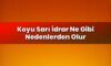 Koyu Sarı İdrar Ne Gibi Nedenlerden Olur