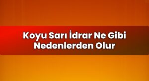Koyu Sarı İdrar Ne Gibi Nedenlerden Olur