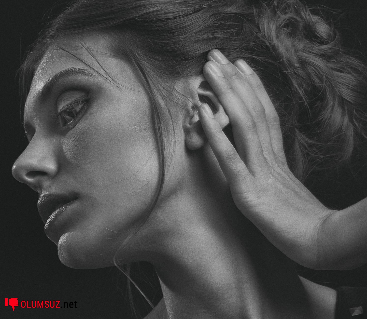 Tinnitus nedenleri: iç kulak ve işitme yolları görseli