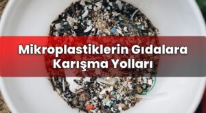 Mikroplastiklerin Gıdalara Karışma Yolları