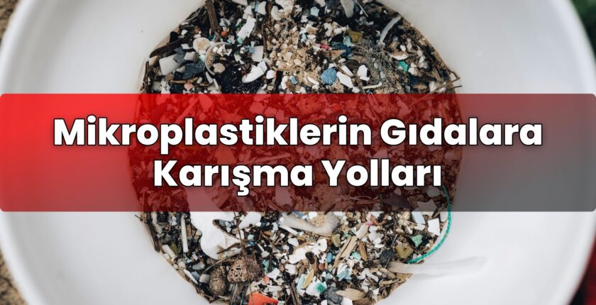 Mikroplastiklerin Gıdalara Karışma Yolları
