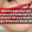 Nikotin Sakızları Diş Çürümesini Hızlandırır Mı, Tükürük Akışını Azaltıp Ağız
Ortamını Bozar Mı?