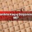 Panikte Kaçış Düşüncesi Mi?