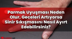 Parmak Uyuşması Neden Olur, Geceleri Artıyorsa Sinir Sıkışmasını Nasıl Ayırt
Edebilirsiniz?