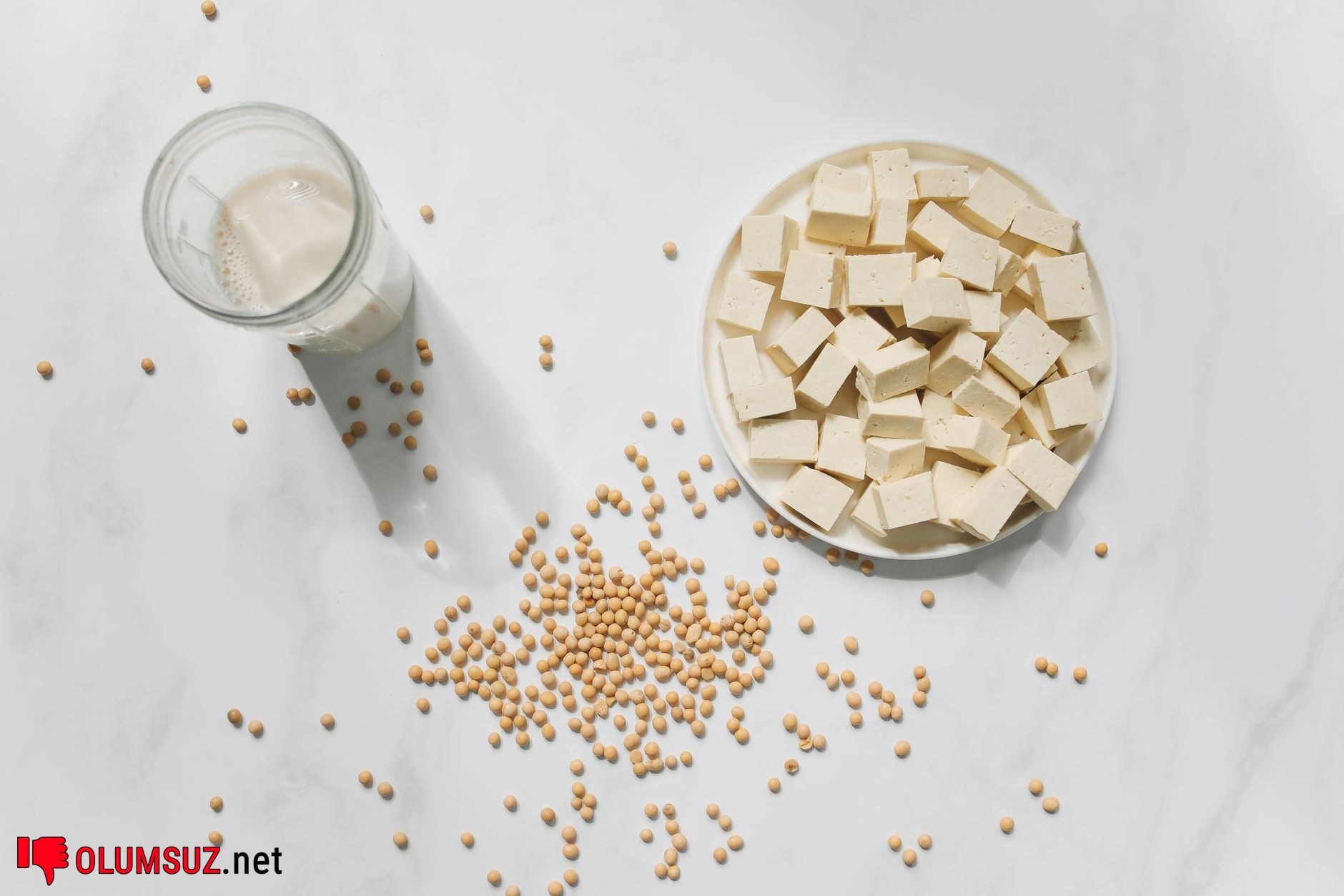 protein fazlalığı neye yol açar