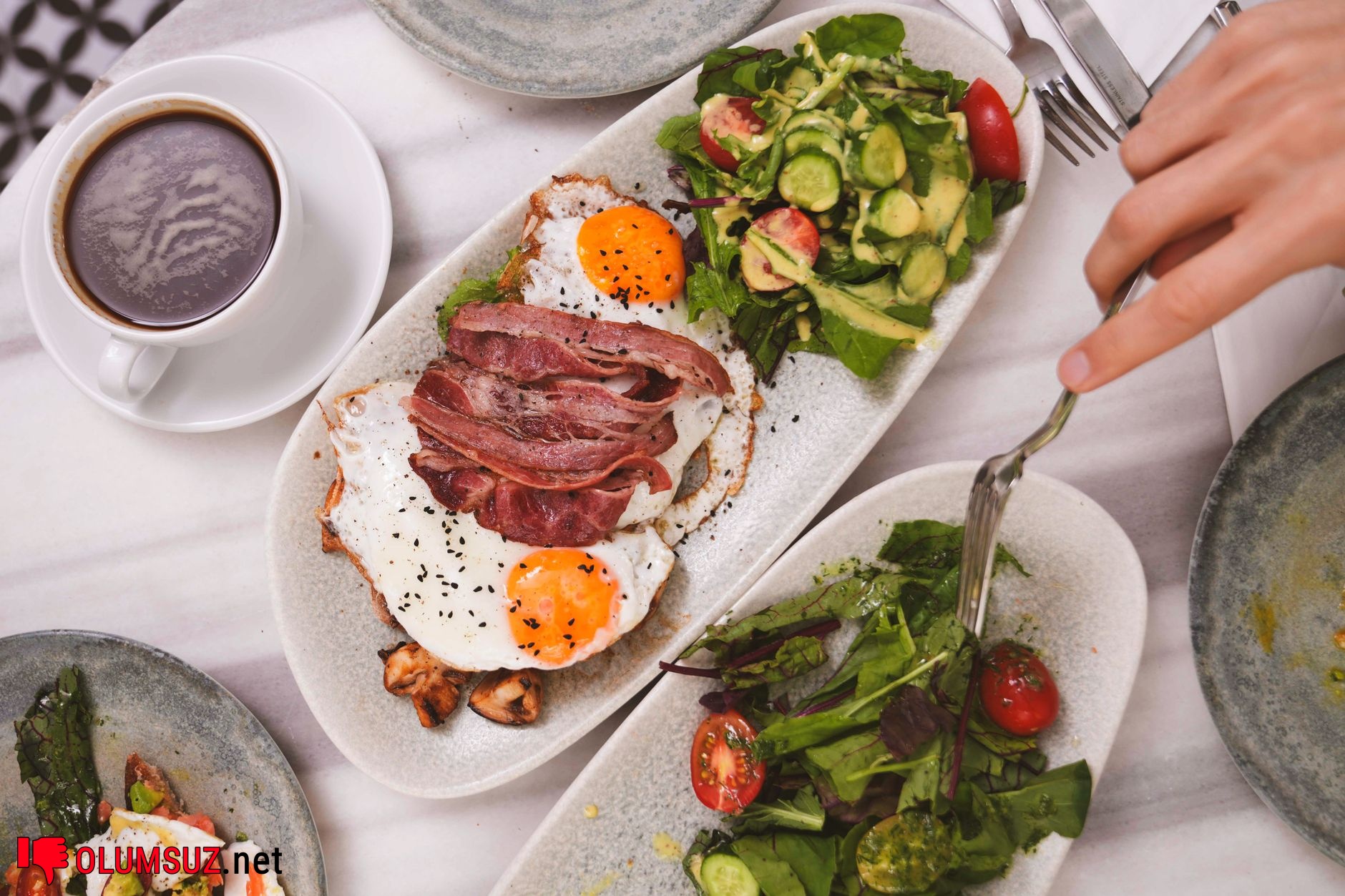 protein fazlalığı neye yol açar