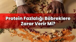 Protein Fazlalığı Böbreklere Zarar Verir Mi?