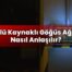 Reflü Kaynaklı Göğüs Ağrısı Nasıl Anlaşılır?