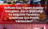 Reflüde Gaz Yapan Gıdalar Hangileri, Karın Şişkinliği Ve Göğüste Yanmayı
Azaltmak İçin Pratik Yöntemler?