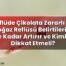 Reflüde Çikolata Zararlı mı Boğaz Reflüsü Belirtilerini Ne Kadar Artırır ve
Kimler Dikkat Etmeli?