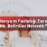 Selenyum Fazlalığı Zararlı Mı, Belirtiler Nelerdir?