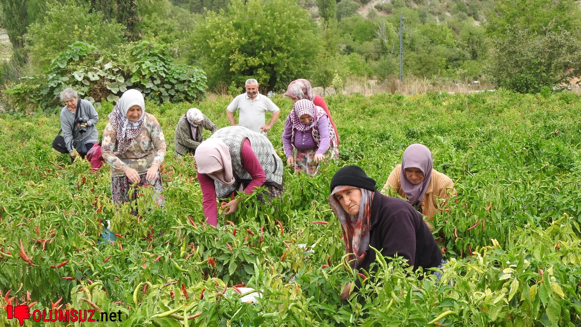 Terleme azalmış, sıcaklık artışı vurgulanan illüstrasyon