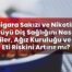 Sigara Sakızı ve Nikotin Püyü Diş Sağlığını Nasıl Etkiler, Ağız Kuruluğu ve Diş
Eti Riskini Artırır mı?
