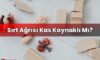Sırt Ağrısı Kas Kaynaklı Mı?