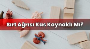 Sırt Ağrısı Kas Kaynaklı Mı?