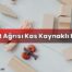 Sırt Ağrısı Kas Kaynaklı Mı?
