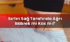 Sırtın Sağ Tarafında Ağrı Böbrek mi Kas mı?