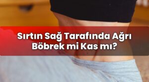 Sırtın Sağ Tarafında Ağrı Böbrek mi Kas mı?