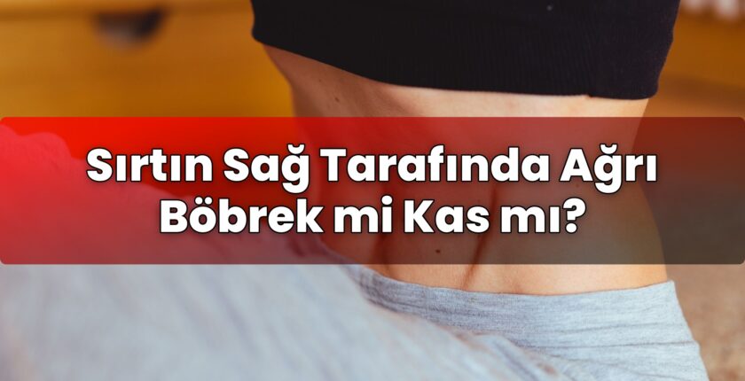Sırtın Sağ Tarafında Ağrı Böbrek mi Kas mı?