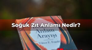 Soğuk Zıt Anlamı Nedir?