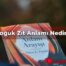 Soğuk Zıt Anlamı Nedir?