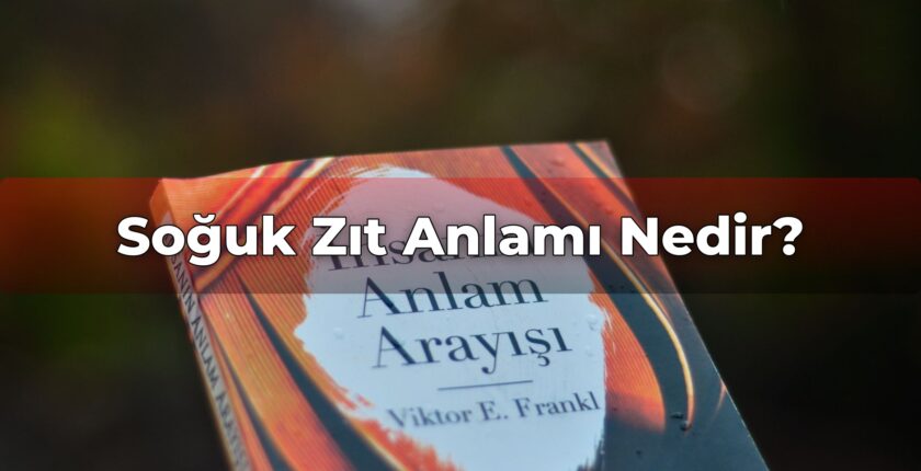 Soğuk Zıt Anlamı Nedir?