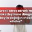 Sürekli stres zararlı mı? Felaketleştirme döngüsü beyin sağlığını nasıl etkiler?
