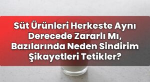 Süt Ürünleri Herkeste Aynı Derecede Zararlı Mı, Bazılarında Neden Sindirim
Şikayetleri Tetikler?