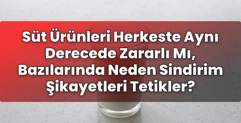 Süt Ürünleri Herkeste Aynı Derecede Zararlı Mı, Bazılarında Neden Sindirim
Şikayetleri Tetikler?