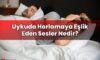 Uykuda Horlamaya Eşlik Eden Sesler Nedir?