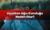 Uyurken Ağız Kuruluğu Neden Olur?