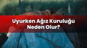 Uyurken Ağız Kuruluğu Neden Olur?