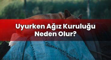 Uyurken Ağız Kuruluğu Neden Olur?