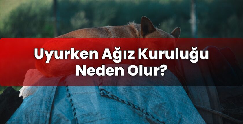Uyurken Ağız Kuruluğu Neden Olur?