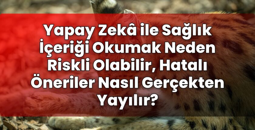 Yapay Zekâ ile Sağlık İçeriği Okumak Neden Riskli Olabilir, Hatalı Öneriler
Nasıl Gerçekten Yayılır?