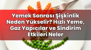 Yemek Sonrası Şişkinlik Neden Yükselir? Hızlı Yeme, Gaz Yapıcılar ve Sindirim
Etkileri Neler
