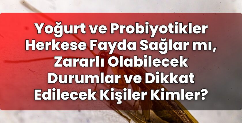 Yoğurt ve Probiyotikler Herkese Fayda Sağlar mı, Zararlı Olabilecek Durumlar ve
Dikkat Edilecek Kişiler Kimler?