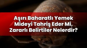 Aşırı Baharatlı Yemek Mideyi Tahriş Eder Mi, Zararlı Belirtiler Nelerdir?