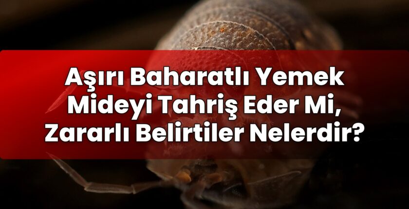 Aşırı Baharatlı Yemek Mideyi Tahriş Eder Mi, Zararlı Belirtiler Nelerdir?