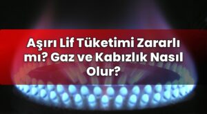 Aşırı Lif Tüketimi Zararlı mı? Gaz ve Kabızlık Nasıl Olur?
