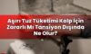 Aşırı Tuz Tüketimi Kalp İçin Zararlı Mı Tansiyon Dışında Ne Olur?