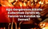 Ağız Gargarasını Alkolle Kullanmak Zararlı Mı, Yanma Ve Kuruluk Ne Demek?