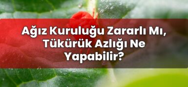 Ağız Kuruluğu Zararlı Mı, Tükürük Azlığı Ne Yapabilir?