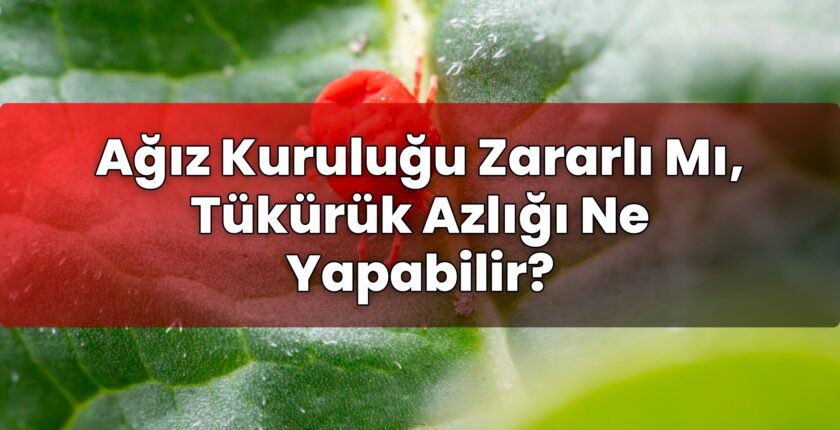 Ağız Kuruluğu Zararlı Mı, Tükürük Azlığı Ne Yapabilir?