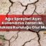 Ağız Spreyleri Aşırı Kullanılırsa Zararlı Mı, Mukoza Kuruluğu Olur Mu?