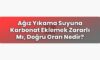 Ağız Yıkama Suyuna Karbonat Eklemek Zararlı Mı, Doğru Oran Nedir?