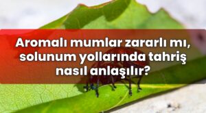 Aromalı mumlar zararlı mı, solunum yollarında tahriş nasıl anlaşılır?