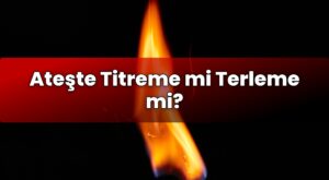 Ateşte Titreme mi Terleme mi?
