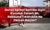 Burun Spreyi Sonrası Aşırı Kuruluk Zararlı Mı, Rebound Tıkanıklık Ne Zaman
Başlar?