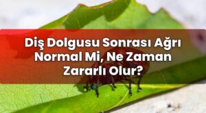 Diş Dolgusu Sonrası Ağrı Normal Mi, Ne Zaman Zararlı Olur?